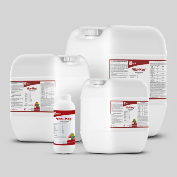 Vital-Mag ® - Image 3