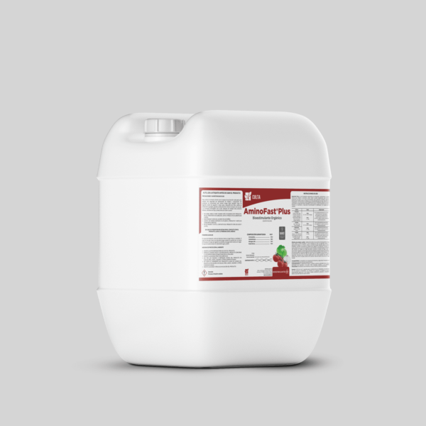 AminoFast Plus ®