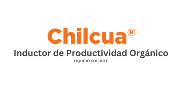 Chilcua ® (Inductor)