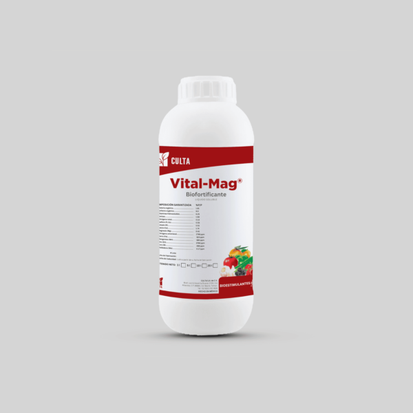 Vital-Mag ® - Image 2